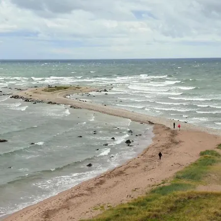 펜션 Paradise Loghouse *