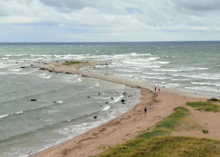 펜션 Paradise Loghouse *